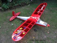 RC Model Plane 15