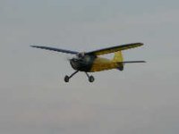 RC Model Plane 19